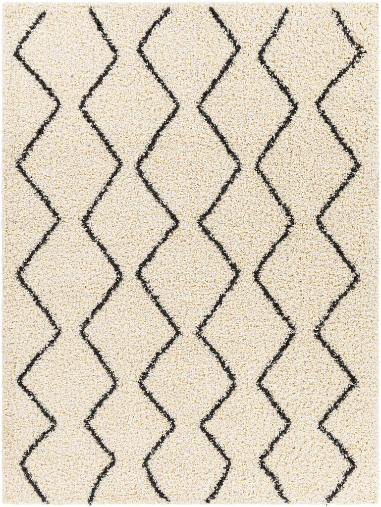 Surya Beni Shag BSH-2302 6'7" x 9' Rug