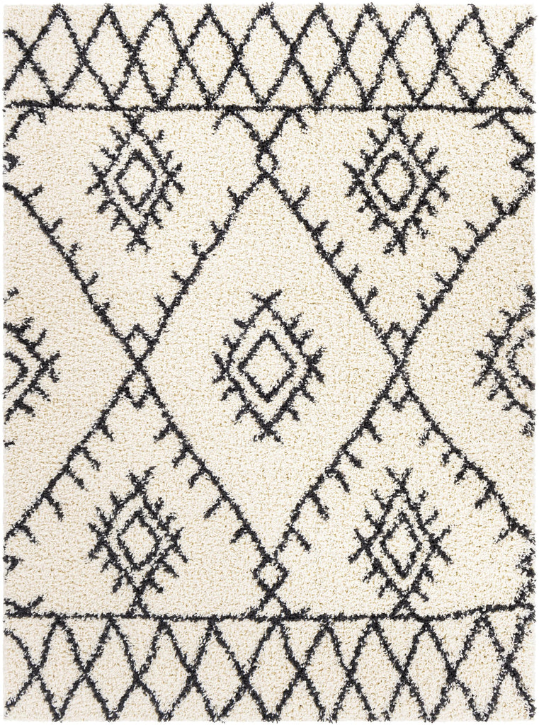 Surya Beni Shag BSH-2303 5'3" x 7' Rug