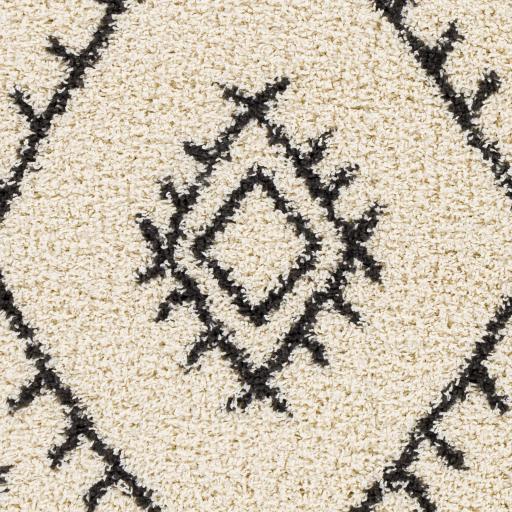 Surya Beni Shag BSH-2303 Black Cream 5'3" x 7' Rug