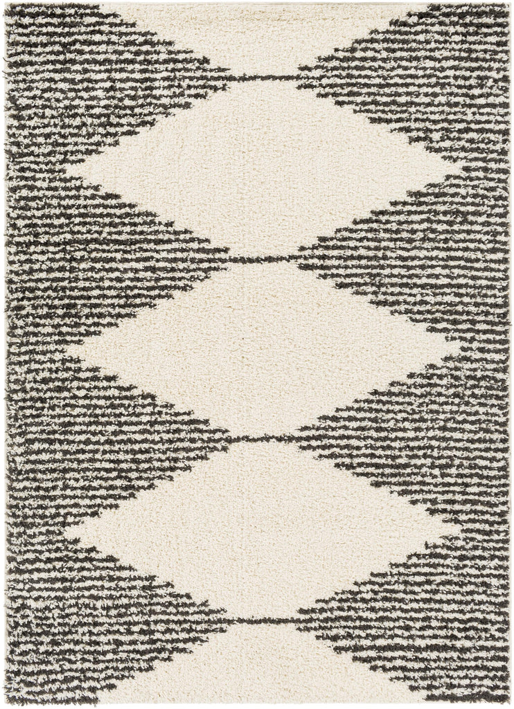 Surya Beni Shag BSH-2308 5'3" x 7' Rug