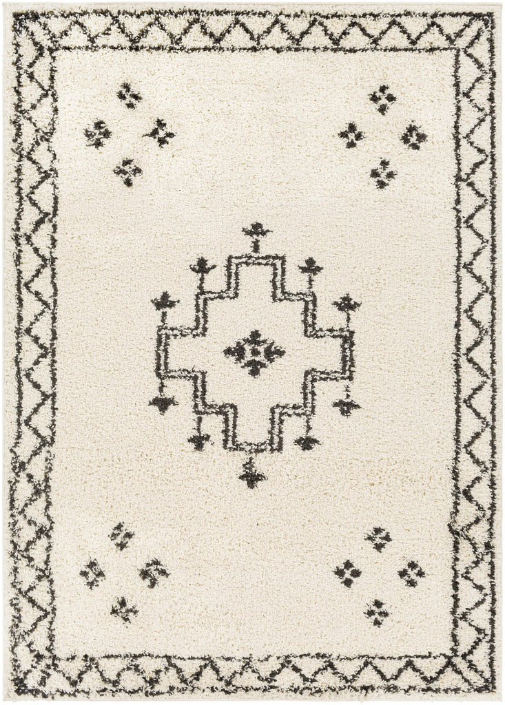 Surya Beni Shag BSH-2320 7'10" x 10' Rug