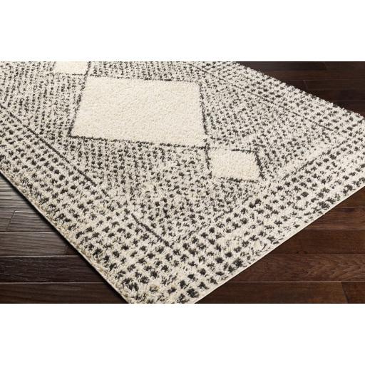 Surya Beni Shag BSH-2332 Black Cream 2'7" x 7'3" Rug