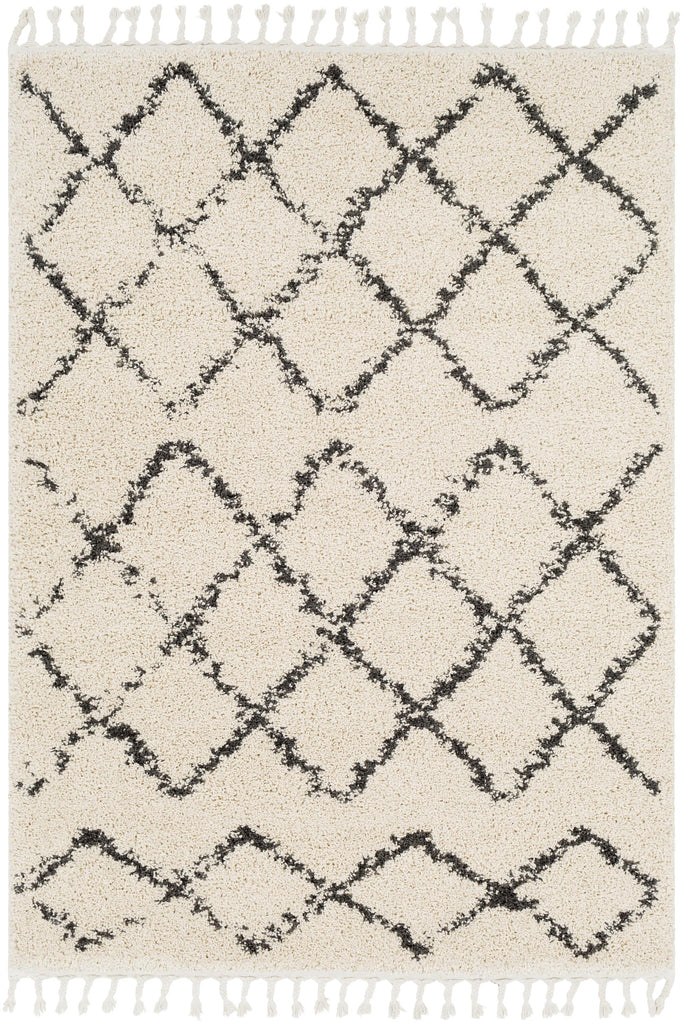 Surya Berber Shag BBE-2300 2' x 2'11" Rug