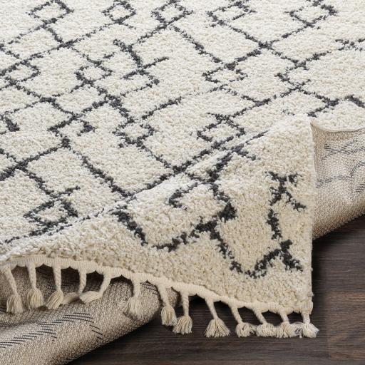 Surya Berber Shag BBE-2301 Charcoal Light Beige 10' x 13'11" Rug