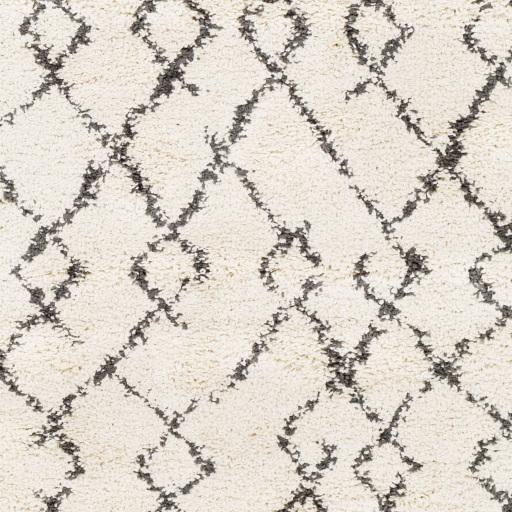 Surya Berber Shag BBE-2301 Charcoal Light Beige 10' x 13'11" Rug