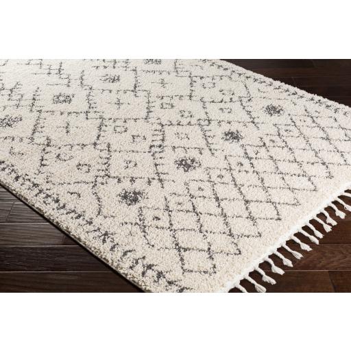 Surya Berber Shag BBE-2302 Charcoal Light Beige 10' x 13'11" Rug