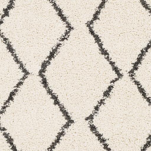 Surya Berber Shag BBE-2303 Charcoal Light Beige 10' x 13'11" Rug