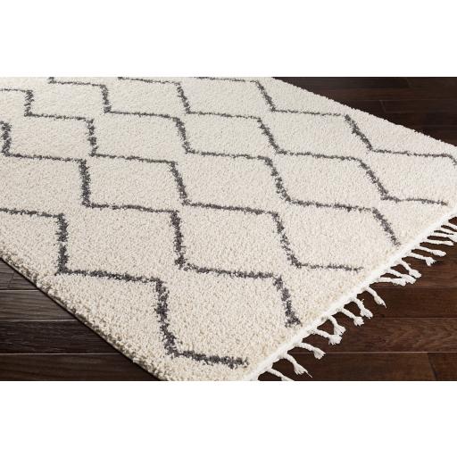 Surya Berber Shag BBE-2303 Charcoal Light Beige 10' x 13'11" Rug