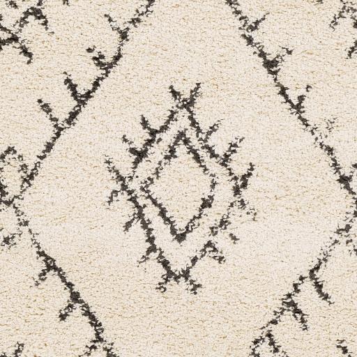 Surya Berber Shag BBE-2305 Charcoal Light Beige 2' x 2'11" Rug