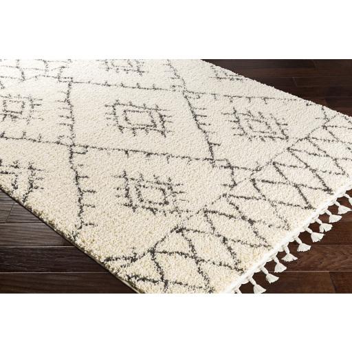 Surya Berber Shag BBE-2305 Charcoal Light Beige 2' x 2'11" Rug