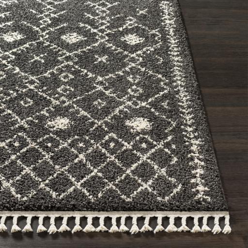 Surya Berber Shag BBE-2308 Charcoal Light Beige 5'3" x 7'3" Rug