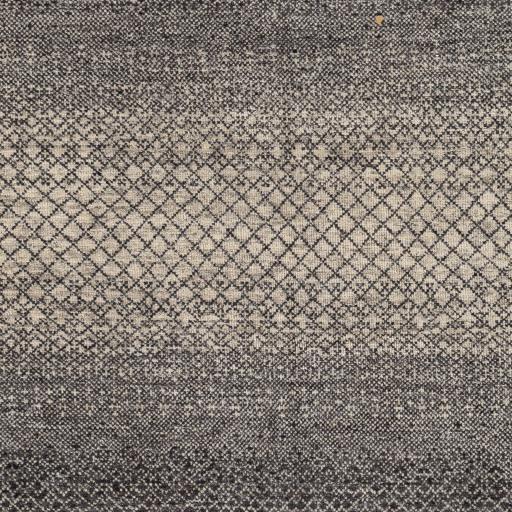 Surya Bethesda BTD-2301 Black Charcoal 6' x 9' Rug