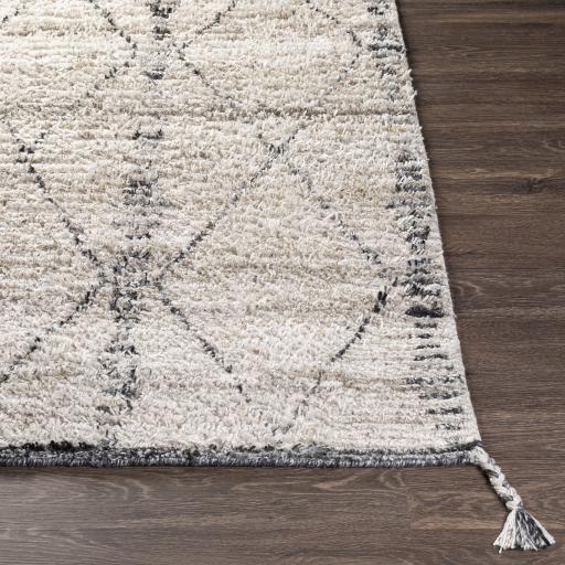 Surya Birch BHC-2302 Black Charcoal 10' x 14' Rug