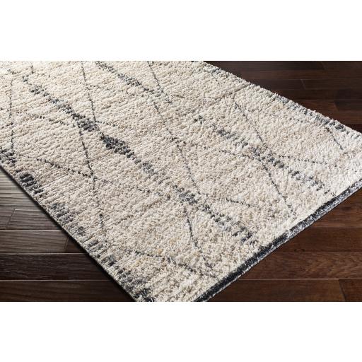 Surya Birch BHC-2302 Black Charcoal 10' x 14' Rug