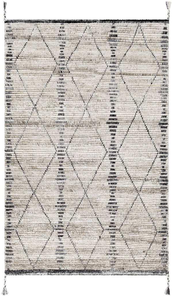 Surya Birch BHC-2302 2' x 3' Rug