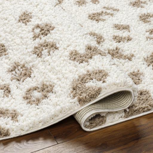 Surya Birmingham BMM-2309 Ivory Tan 5'3" x 7' Rug