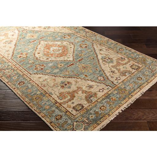 Surya Biscayne BSY-2301 Aqua Grass Green 2' x 3' Rug