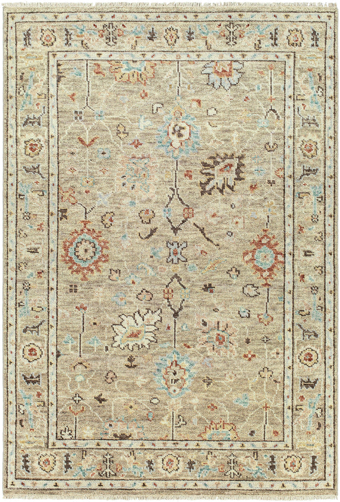 Surya Biscayne BSY-2314 Dark Brown Ivory 8' x 10' Rug