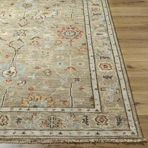 Surya Biscayne BSY-2314 Dark Brown Ivory 8' x 10' Rug