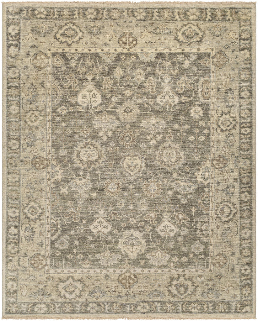 Surya Biscayne BSY-2316 Ivory Light Brown 2' x 3' Rug