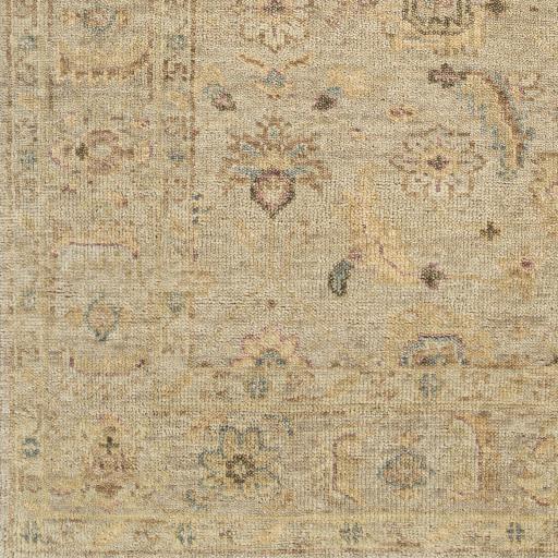 Surya Biscayne BSY-2317 Beige Ivory 2' x 3' Rug