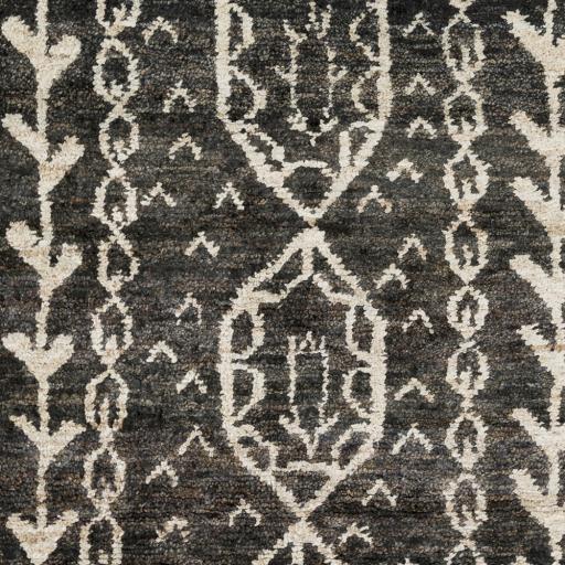 Surya Bjorn BJR-1000 Beige Black 3'3" x 5'3" Rug