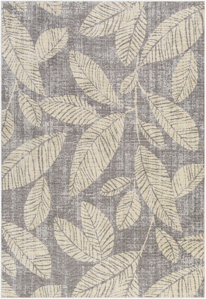 Surya Bodrum BDM-2322 Beige Charcoal 8'10" x 12' Rug