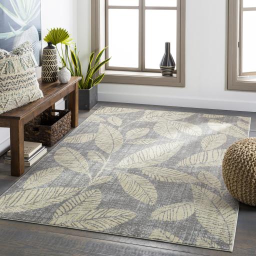 Surya Bodrum BDM-2322 Beige Charcoal 8'10" x 12' Rug