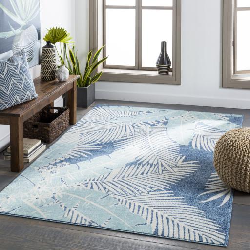 Surya Bodrum BDM-2324 Aqua Beige 5'3" x 7'3" Rug