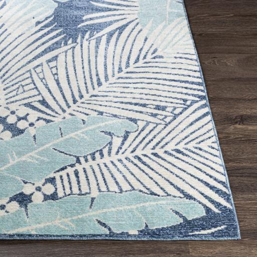 Surya Bodrum BDM-2324 Aqua Beige 5'3" x 7'3" Rug