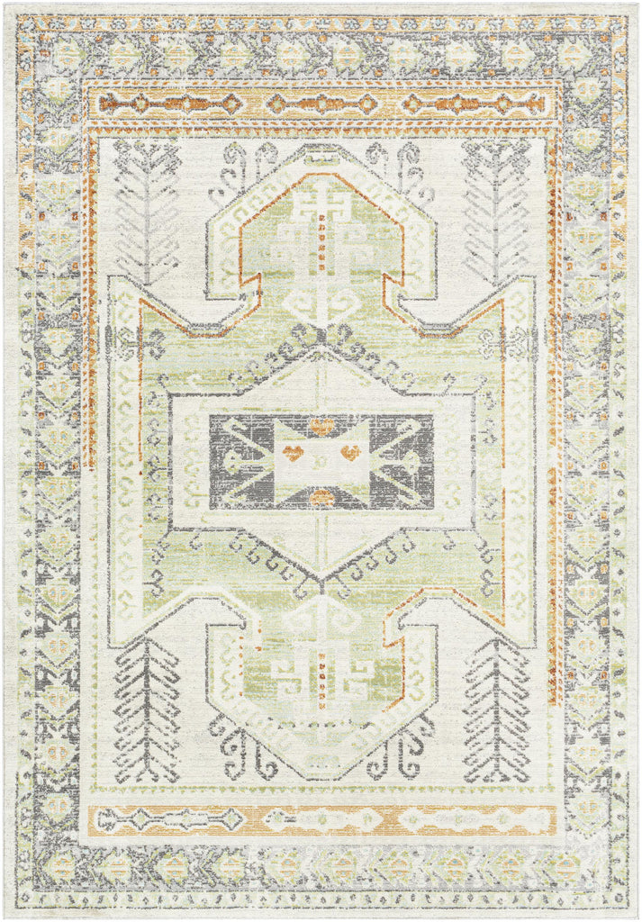 Surya Bodrum BDM-2337 7'10" x 10' Rug