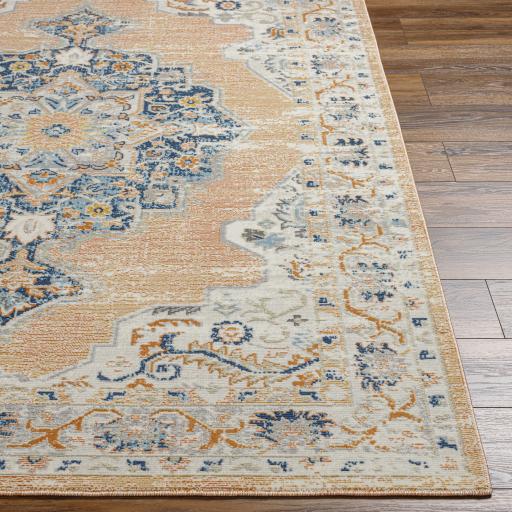 Surya Bodrum BDM-2344 Aqua Cream 5'3" x 7'3" Rug