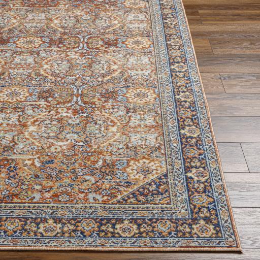 Surya Bodrum BDM-2347 Burnt Orange Medium Brown 5'3" x 7'3" Rug