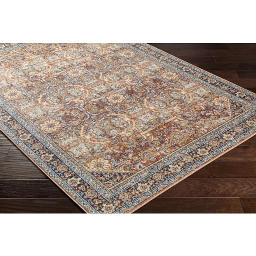 Surya Bodrum BDM-2347 Burnt Orange Medium Brown 5'3" x 7'3" Rug