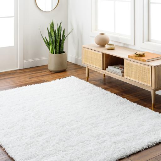 Surya Bogota Shag BTG-2300 White 5'3" x 7' Rug