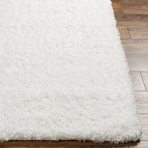 Surya Bogota Shag BTG-2300 White 5'3" x 7' Rug