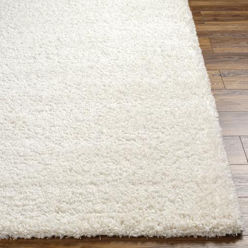 Surya Bogota Shag BTG-2301 Light Gray 9'2" x 12' Rug