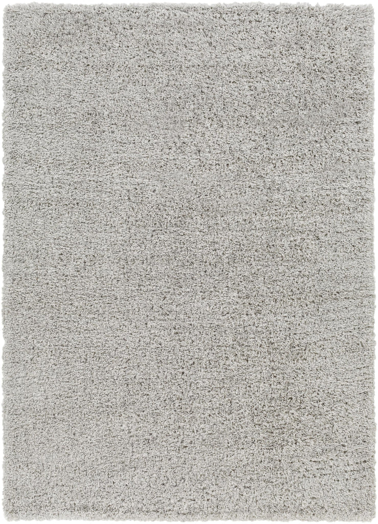 Surya Bogota Shag BTG-2303 Gray 6'7" x 9' Rug