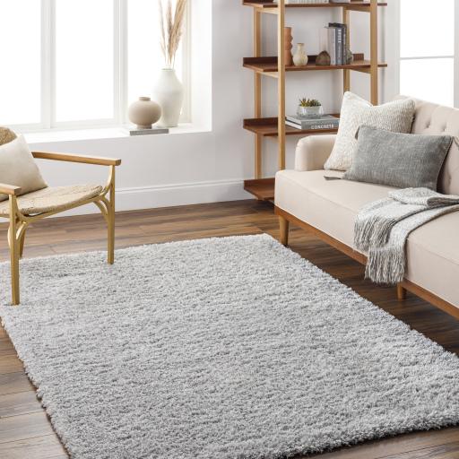 Surya Bogota Shag BTG-2303 Gray 6'7" x 9' Rug