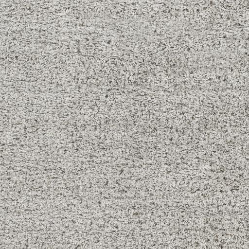 Surya Bogota Shag BTG-2303 Gray 6'7" x 9' Rug