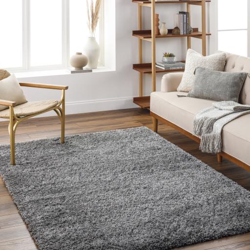 Surya Bogota Shag BTG-2304 Charcoal 5'3" x 7' Rug