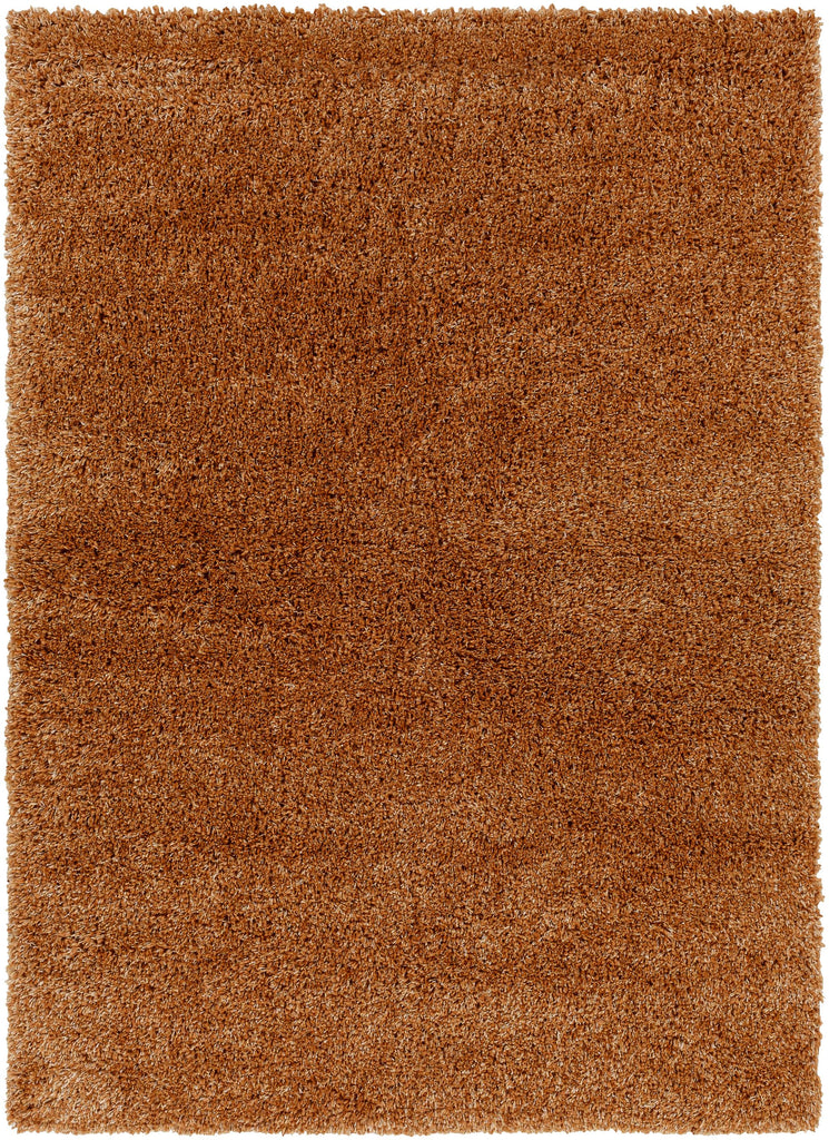 Surya Bogota Shag BTG-2306 Burnt Orange 6'7" x 9' Rug