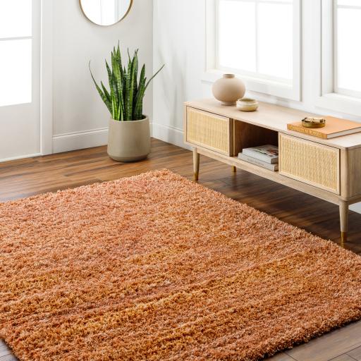 Surya Bogota Shag BTG-2306 Burnt Orange 6'7" x 9' Rug