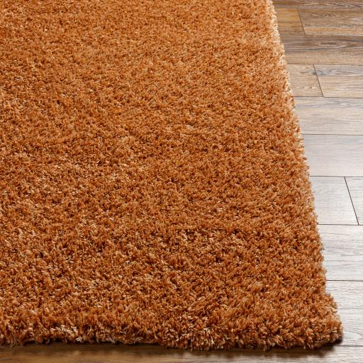 Surya Bogota Shag BTG-2306 Burnt Orange 6'7" x 9' Rug