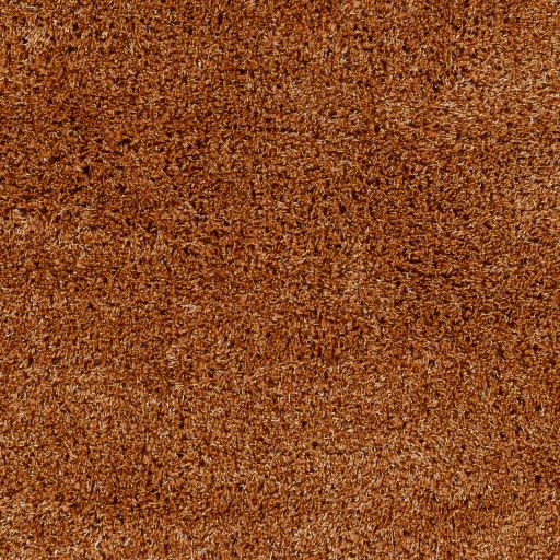 Surya Bogota Shag BTG-2306 Burnt Orange 6'7" x 9' Rug