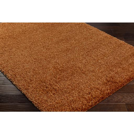 Surya Bogota Shag BTG-2306 Burnt Orange 6'7" x 9' Rug