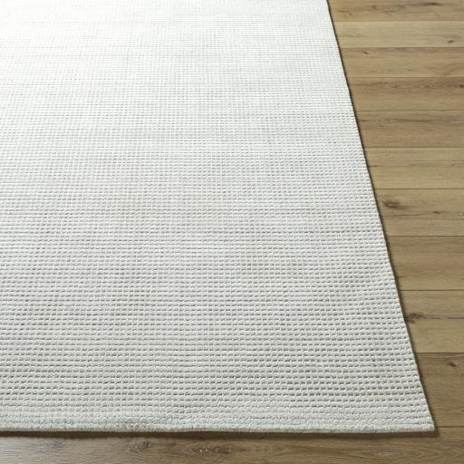 Surya Boston BBT-2300 Ivory Light Beige 10' x 14' Rug