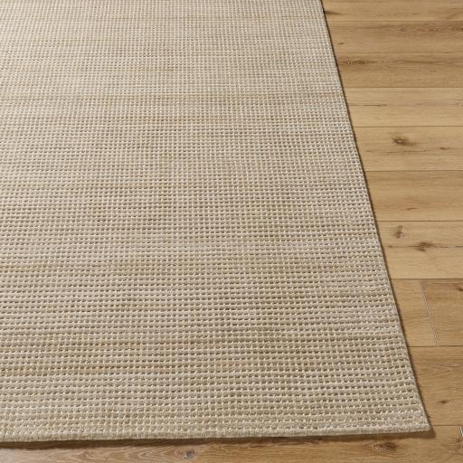 Surya Boston BBT-2307 Ivory Tan 10' x 14' Rug