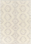 Surya Bremen Ben-2306 2' X 3' Rug