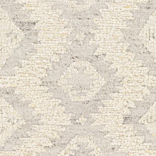 Surya Bremen BEN-2306 Brown Cream 8' x 10' Rug